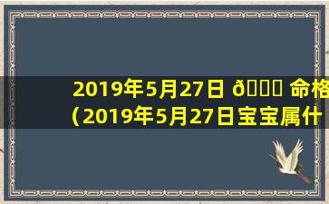 2019年5月27日 🐞 命格（2019年5月27日宝宝属什么命）